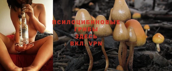 ALPHA PVP Нея